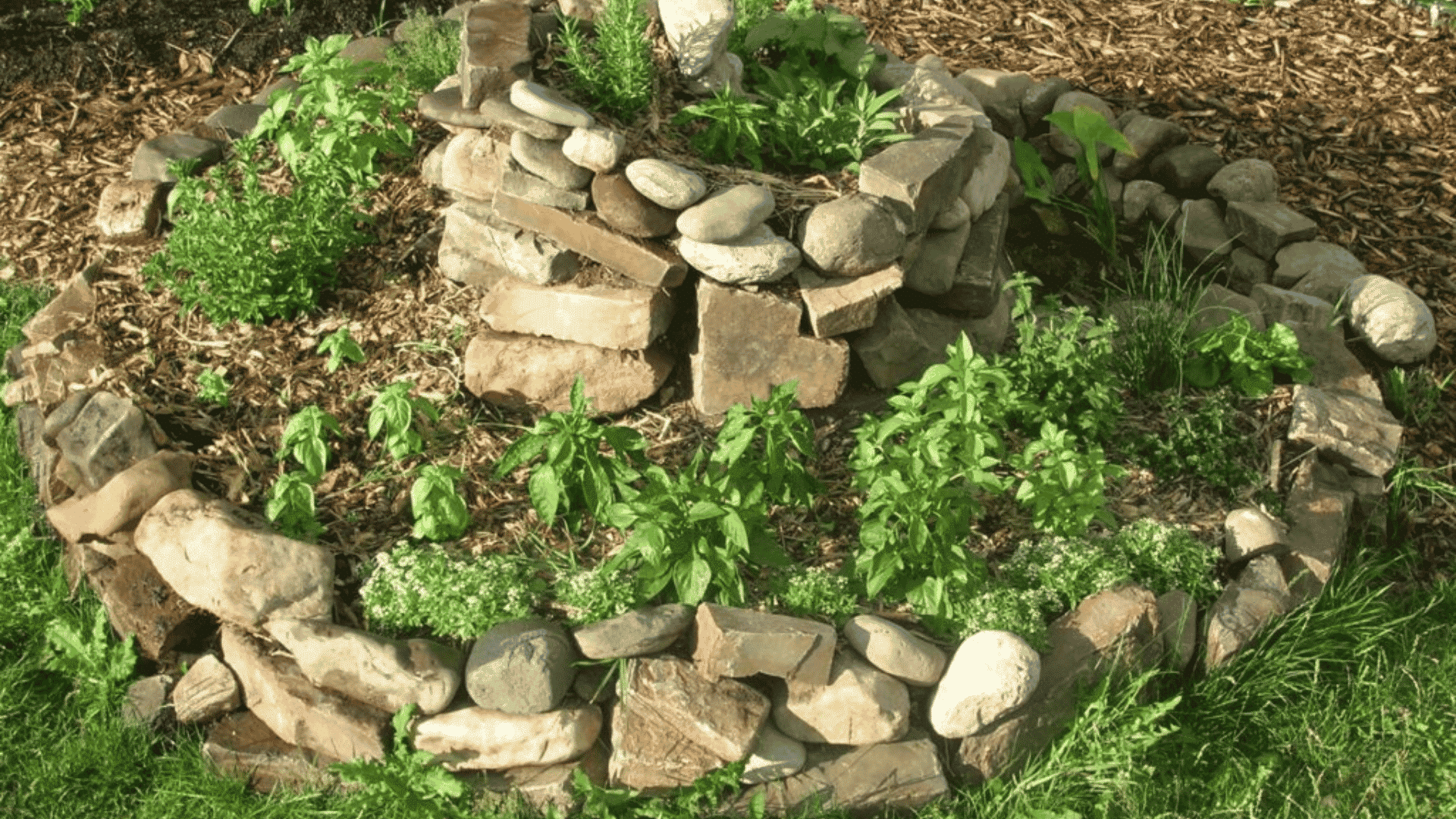 Stone herb spiral garden with layered rock borders and mixed herbs growing in a circular backyard layout.