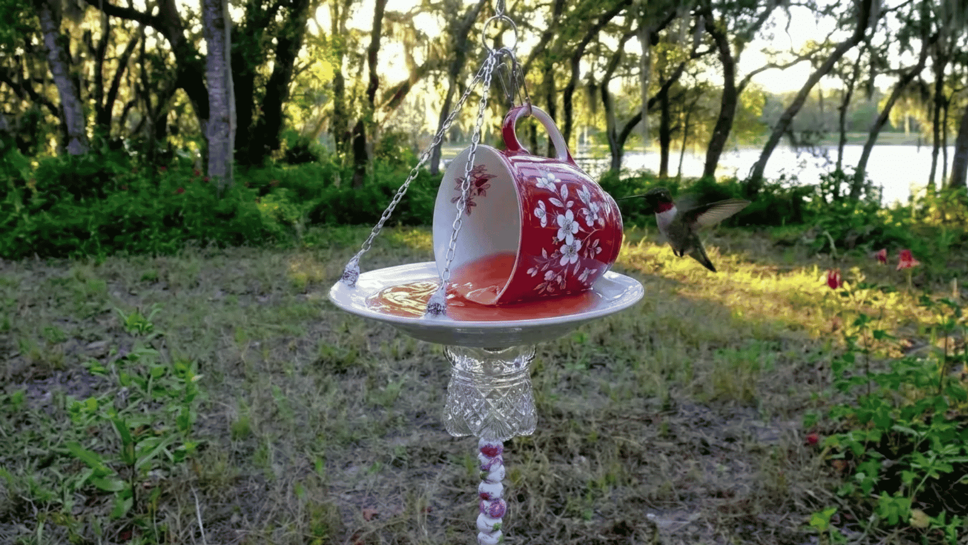 Teacup DIY hummingbird feeder on a hanging saucer with a hummingbird flying nearby
