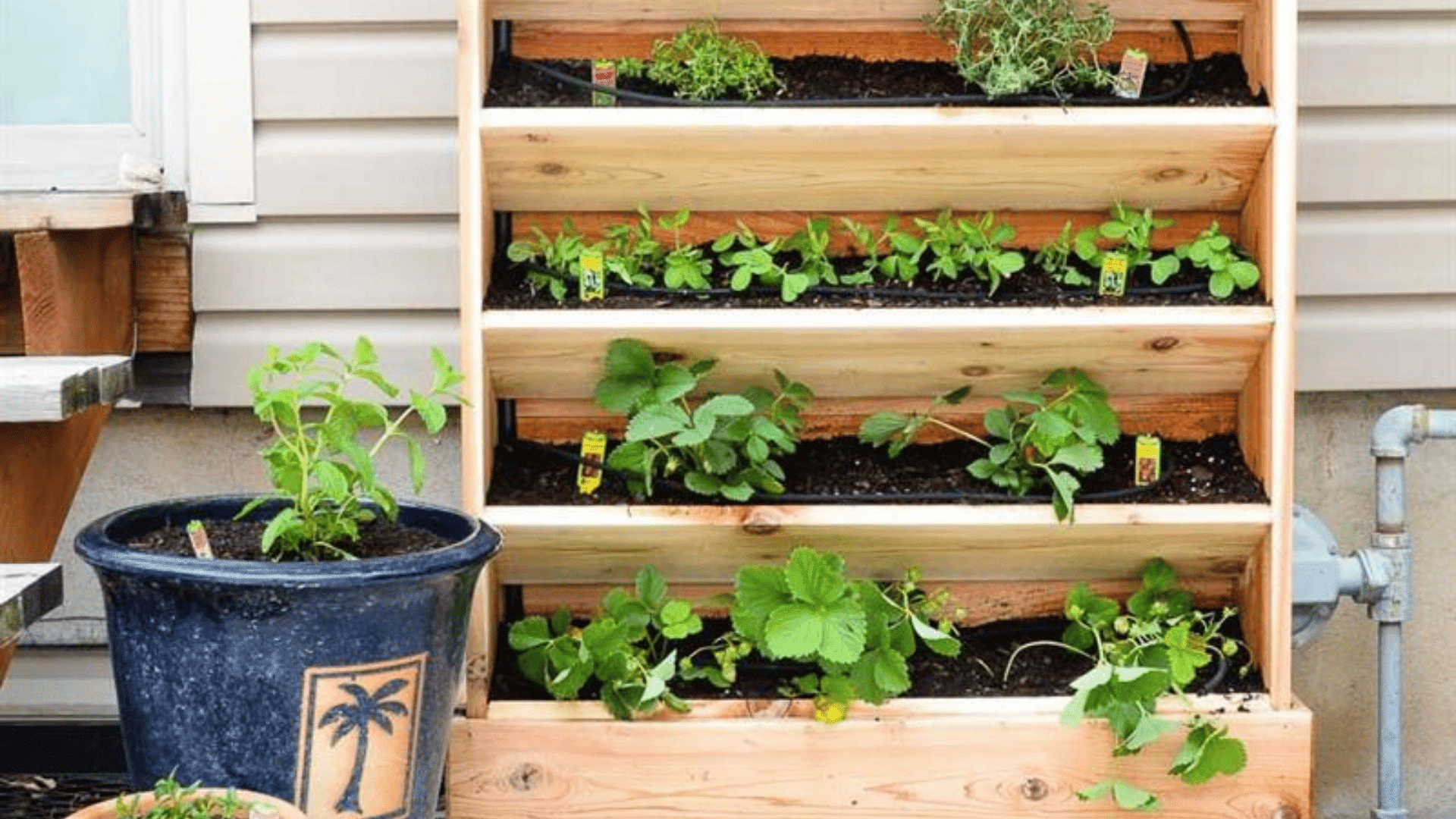 Tiered wooden herb garden planter with multiple rows of herbs growing beside an outdoor patio wall.