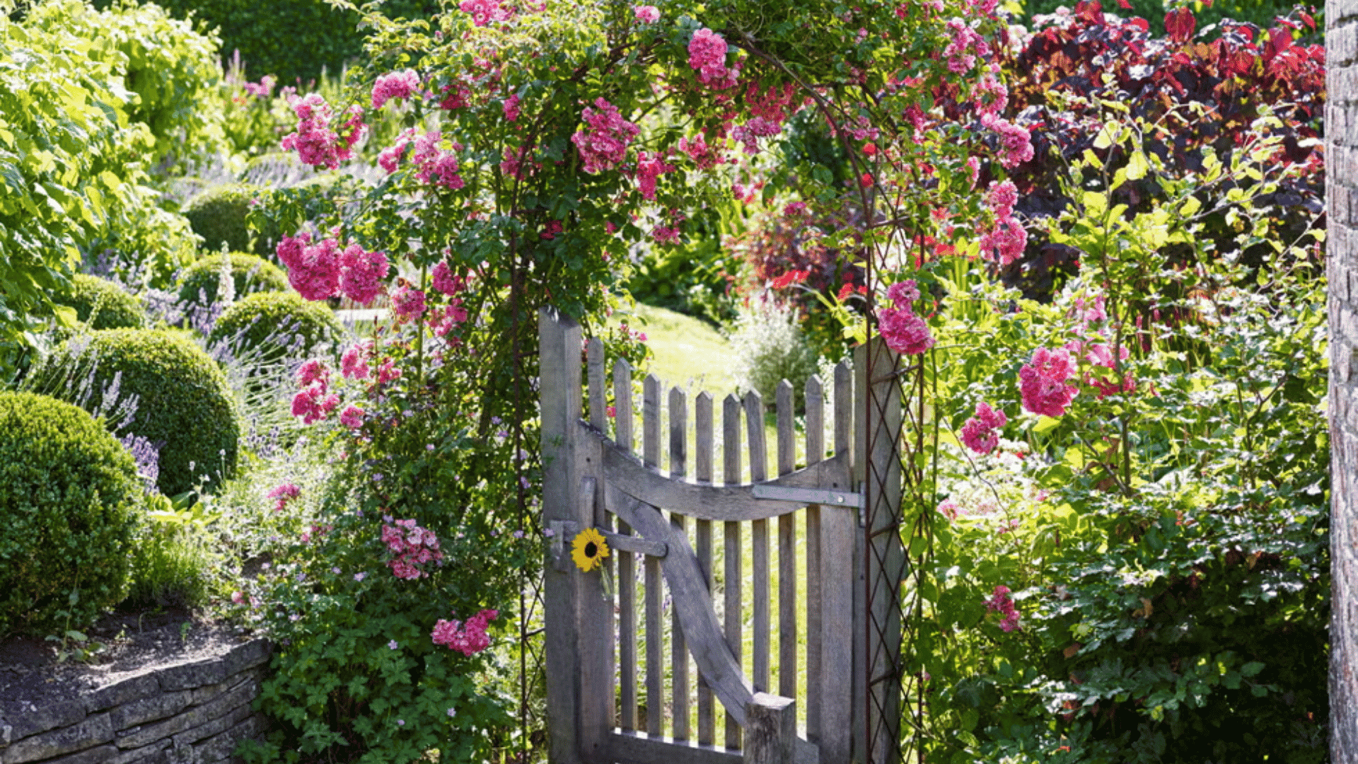 Wooden garden gate beneath a pink rose arch surrounded by green shrubs and colorful flowers in a sunny garden.