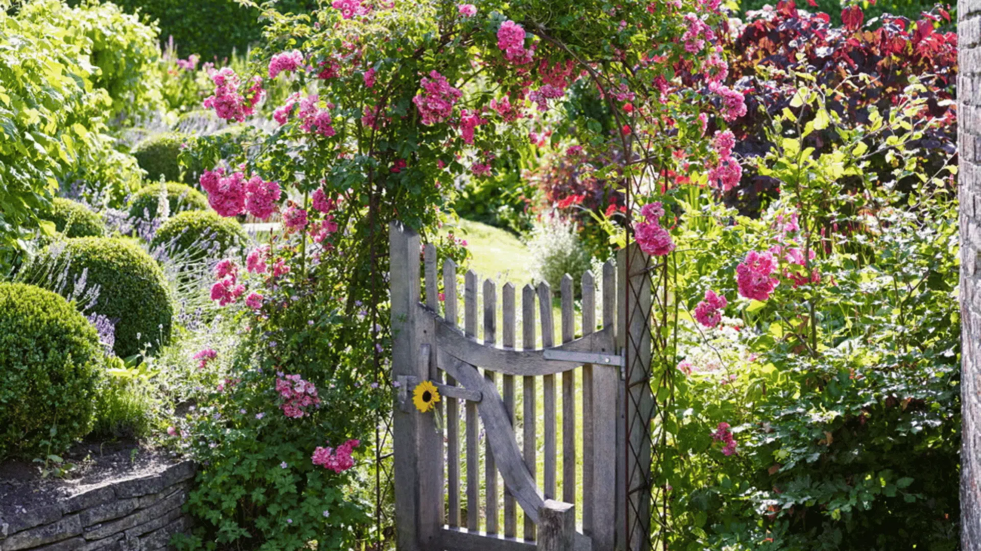 Wooden garden gate beneath a pink rose arch surrounded by green shrubs and colorful flowers in a sunny garden.