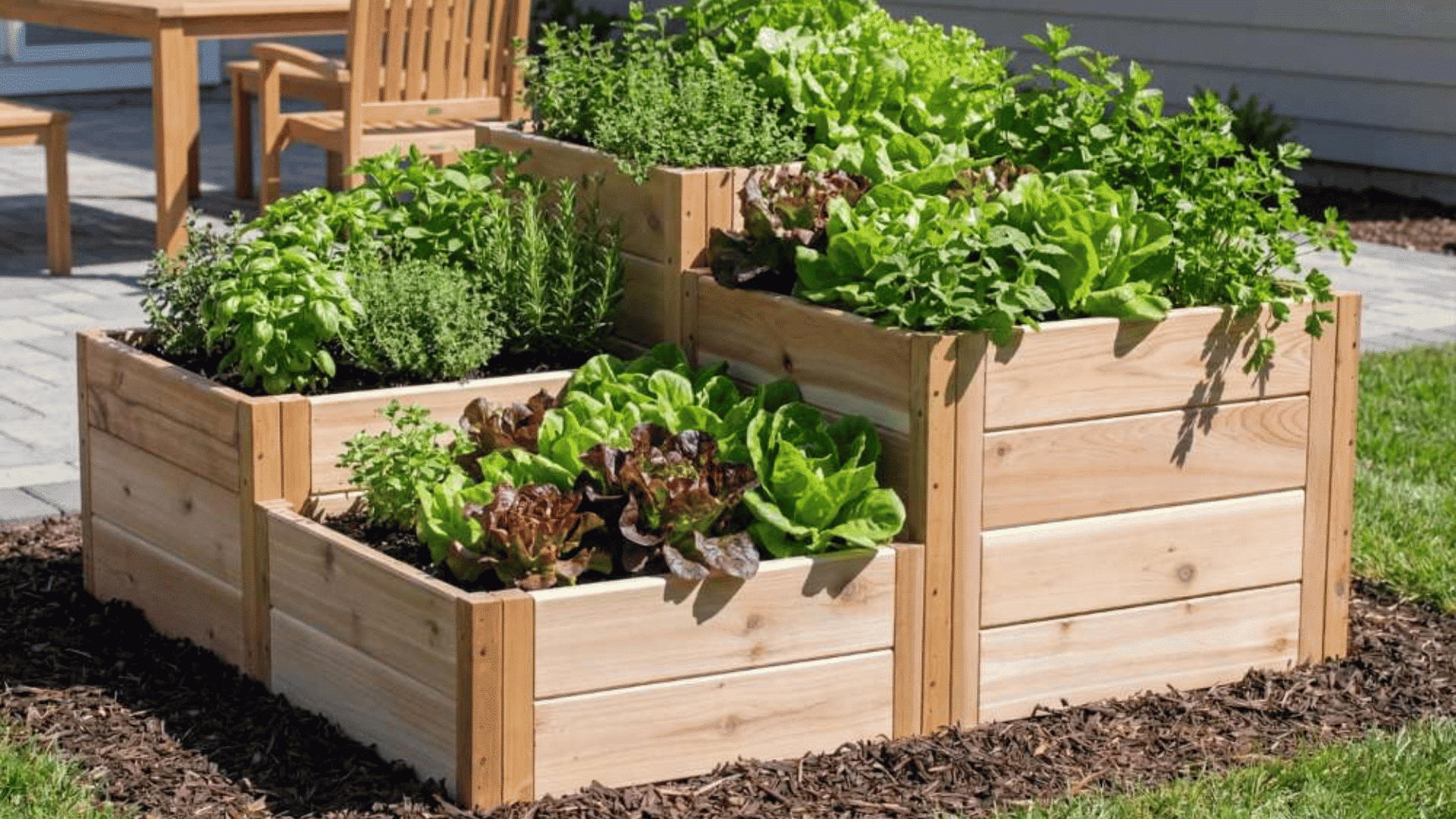 Wooden raised garden beds with herbs and leafy vegetables growing in a sunny backyard patio setup.