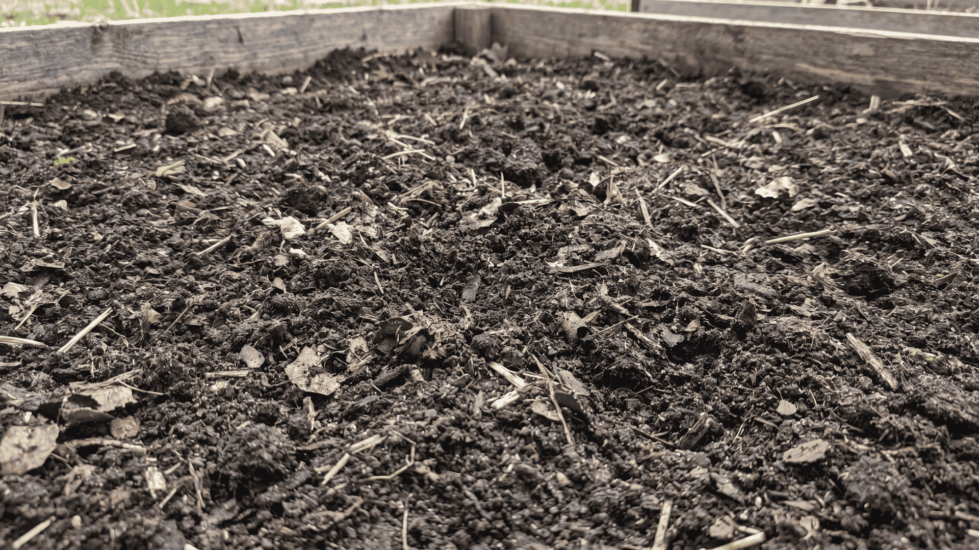 Loose garden soil mixed with compost and aged manure for planting elephant ear bulbs