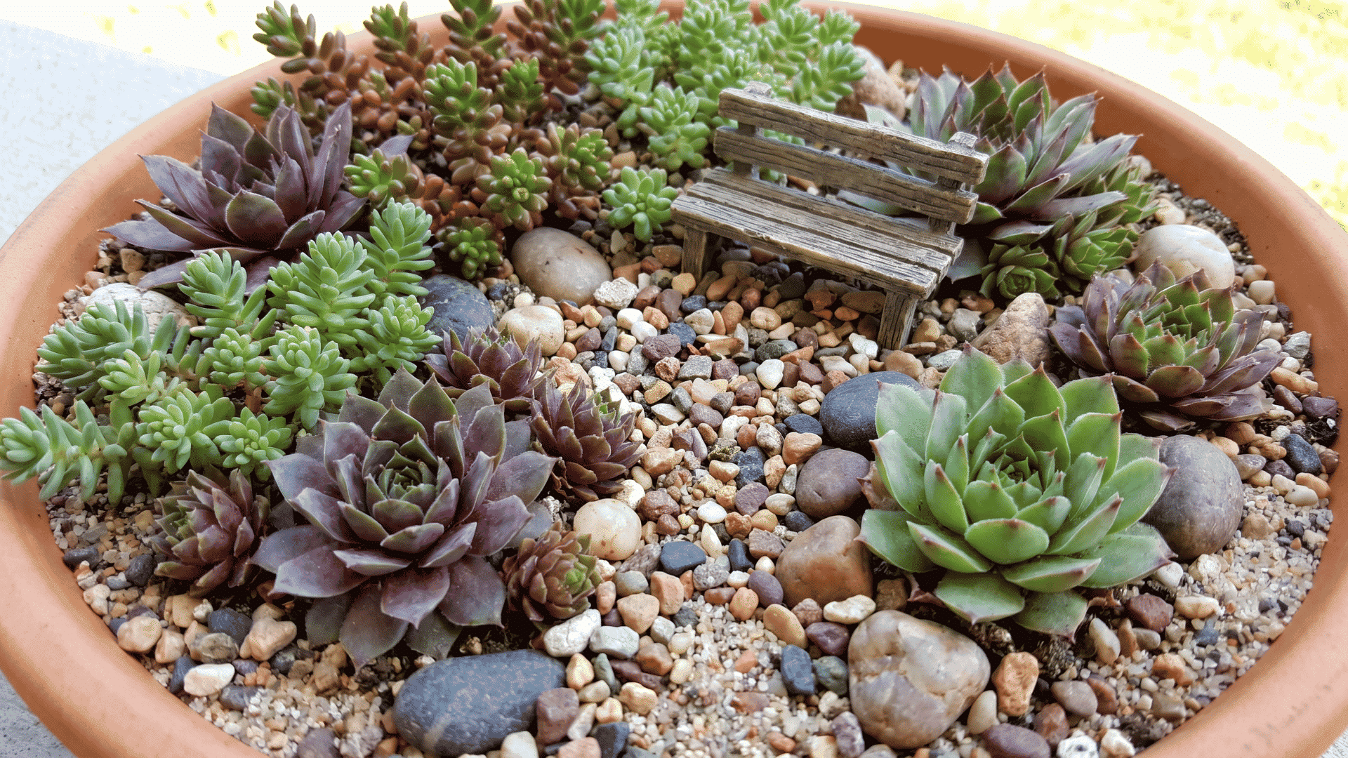 Shallow planter with succulents, gravel, stones, and a tiny bench