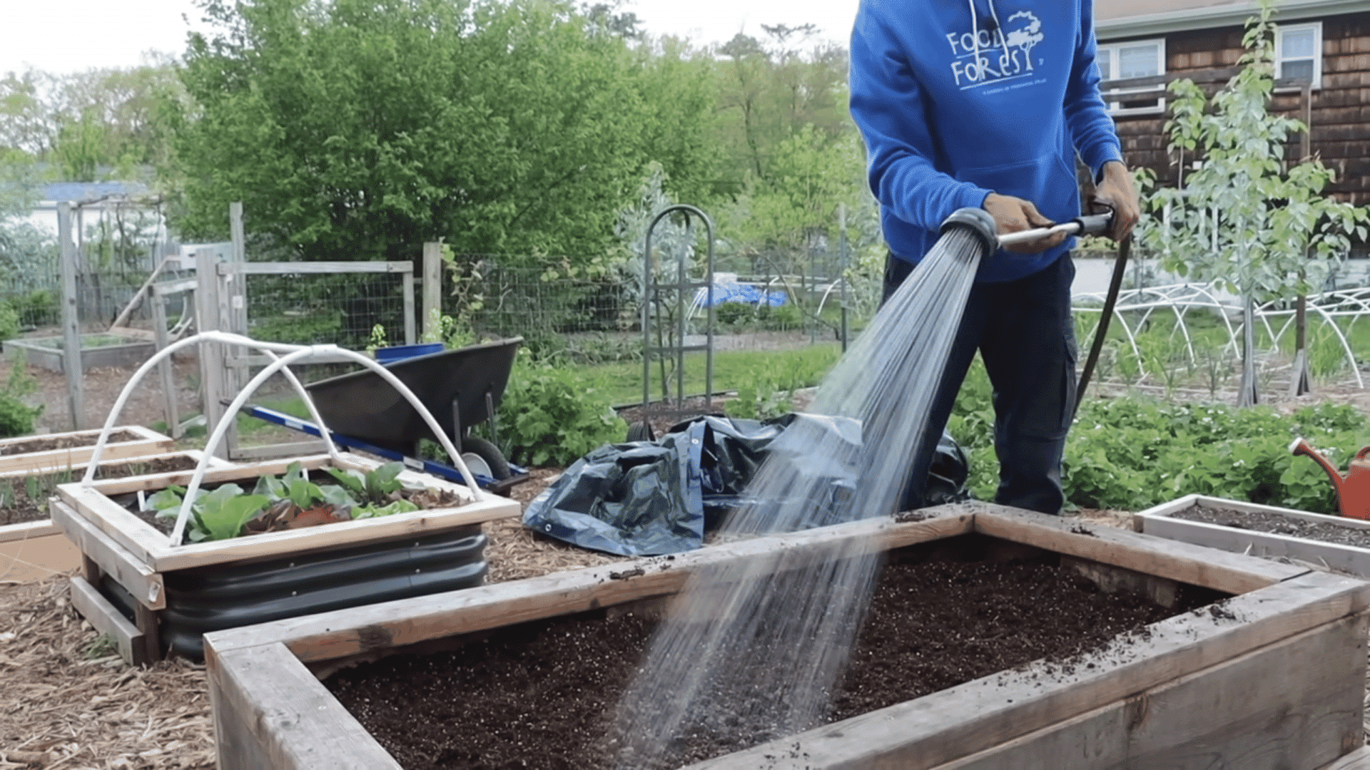 watering the freshly added topsoil in a planter concluding how to fill raised garden beds