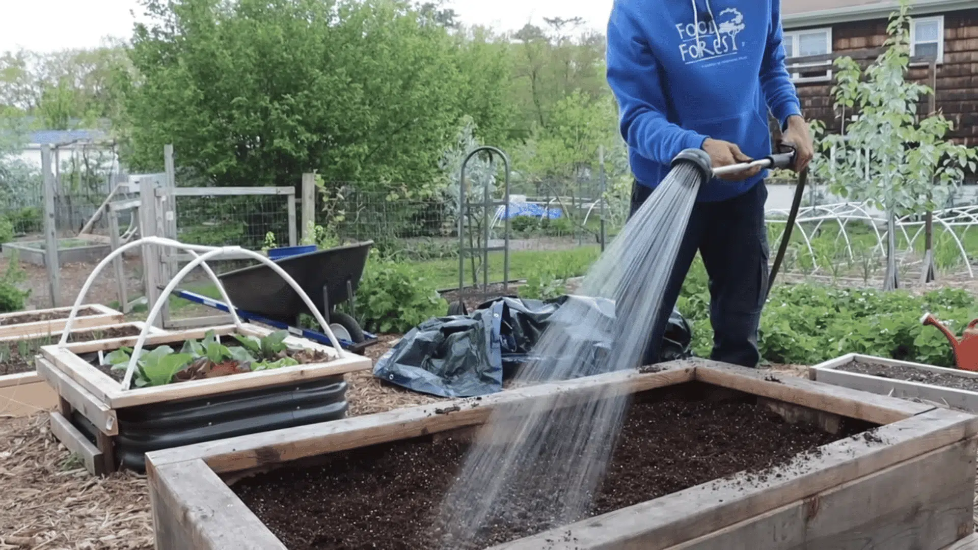 watering the freshly added topsoil in a planter concluding how to fill raised garden beds