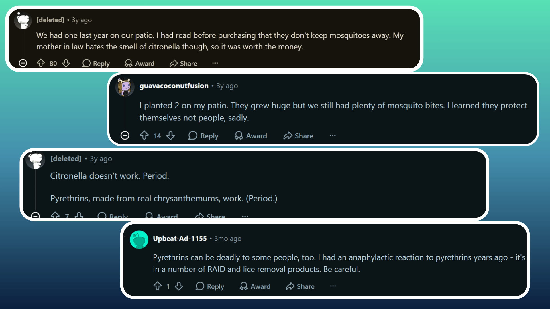 Reddit comments about citronella plants and mosquito repellent claims.