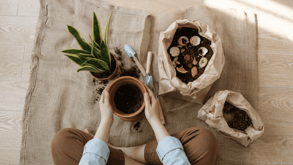 Homemade plant food offers gentle nourishment from common household materials.