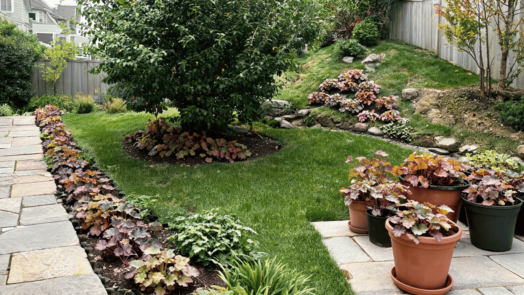 A landscaped backyard garden with colorful coral bells planted along a path, around a tree, and in pots on a patio.