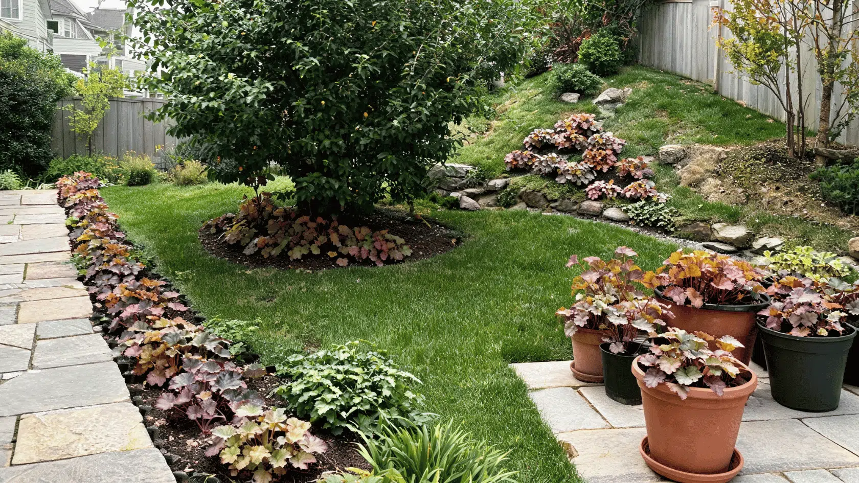 A landscaped backyard garden with colorful coral bells planted along a path, around a tree, and in pots on a patio.
