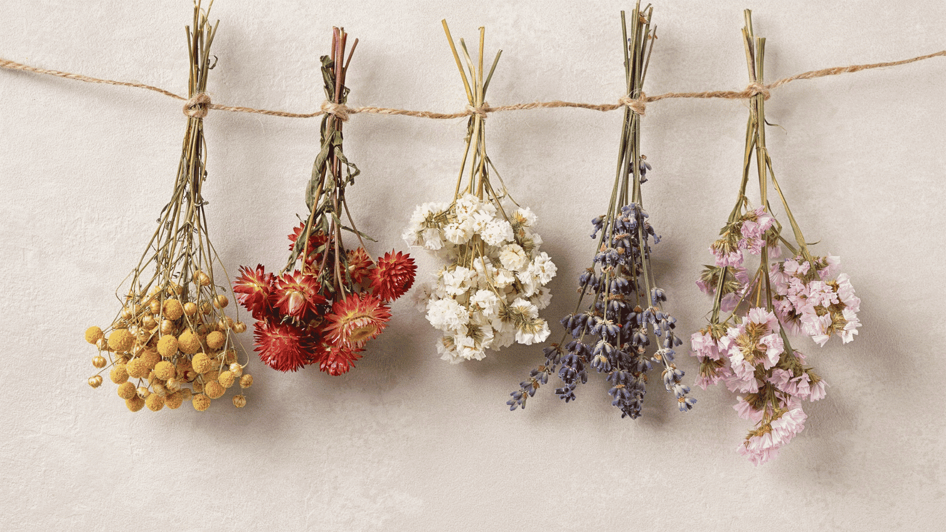 Five colorful dried flower bouquets hanging upside down on a twine string against a cream wall